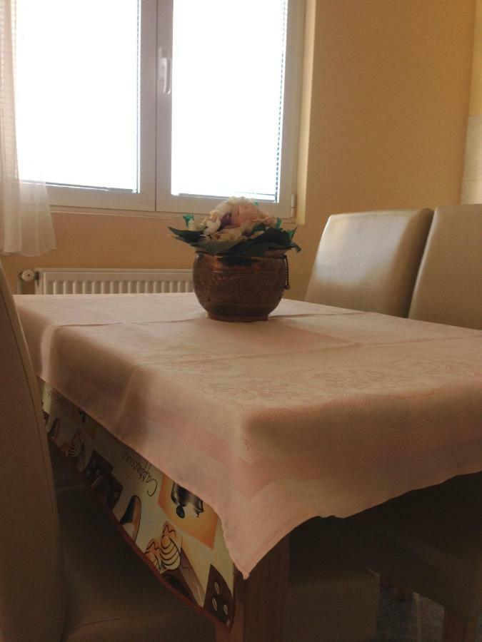 Sunny Apartment Jukic With Sea View Zadar Exterior foto